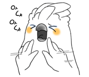 해물마당 이미지