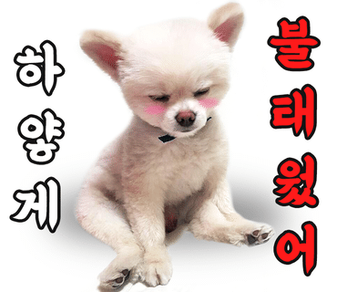 Wien음악학원빈 이미지