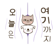 신디샵 이미지