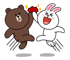 brown_and_cony-35