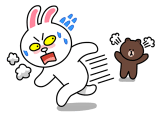 brown_and_cony-45