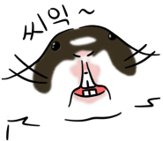 슈슈공방 이미지