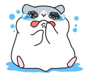 목포가족관광호텔 이미지