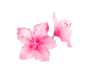 이닝슈 이미지