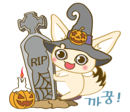 여우라인 이미지