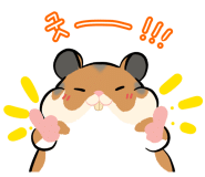 선화PC 이미지