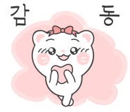 양지해물칼국수 이미지
