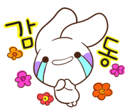 네추럴데이즈 이미지