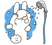 스파나무 이미지