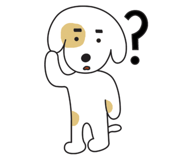 더엔에스 이미지