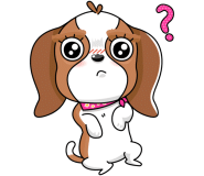 앤멀티샵 이미지