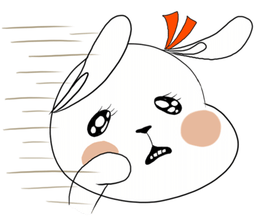 샌드베어 이미지