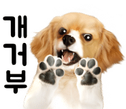 자닮세무회계세무사송애경사무소 이미지