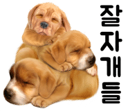 대영호 이미지