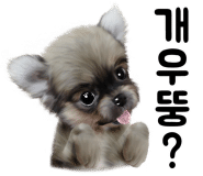 우주광고기획 이미지