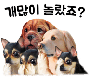 쓰리에스(3S) 이미지