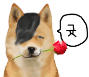 쨍하고회뜨는날 이미지