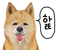 쨍하고회뜨는날 이미지