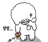 HC모터스 이미지