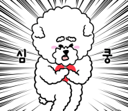 HC모터스 이미지
