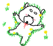 HC모터스 이미지