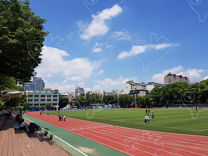 교대,학교,서울교대,학교운동장,운동장,트랙,육상트랙,가을하늘,산책 : 복피디 - 네이버 OGQ마켓