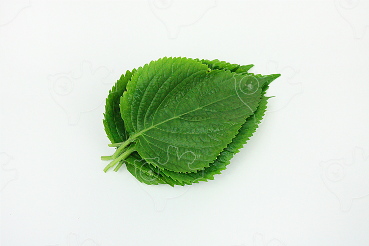 깻잎 - 네이버 이미지