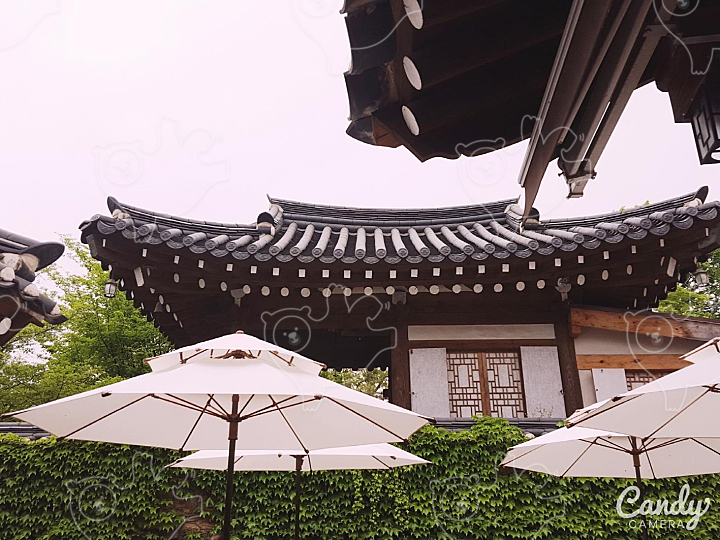 고당 커피숍 : 모아 - 네이버 OGQ마켓 고당 커피숍  : 모아 - 네이버 OGQ마켓