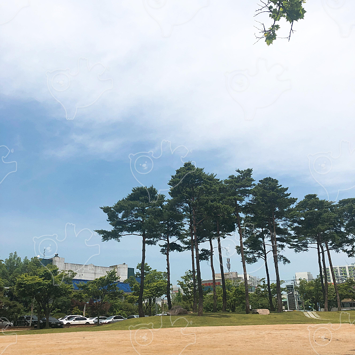 파란하늘 : ddoongsgirl388 - 네이버 OGQ마켓