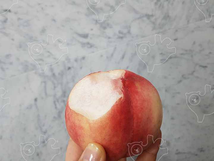 한입 베어 문 복숭아 (백도) : 달토깽이 - 네이버 OGQ마켓