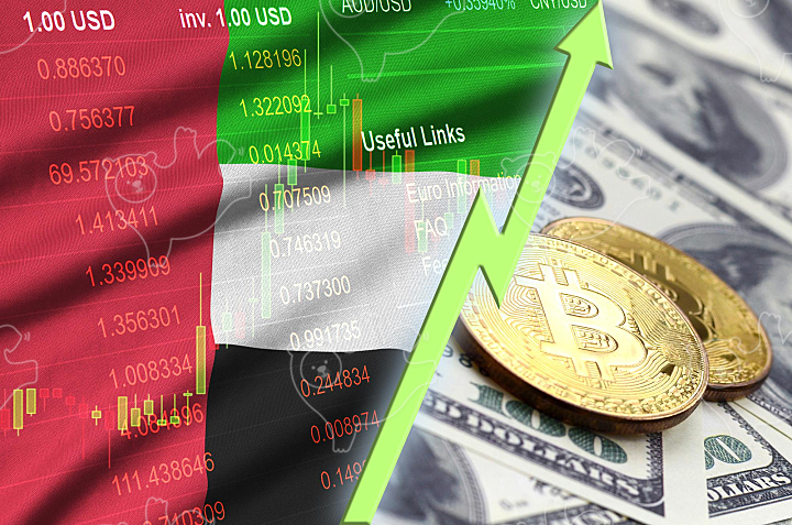 United Arab Emirates flag and cryptocurrency - NAVER OGQ 마켓