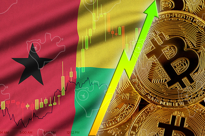 Guinea Bissau flag and cryptocurrency growing - NAVER OGQ 마켓