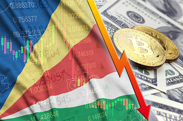 Seychelles flag and cryptocurrency falling trend - NAVER OGQ 마켓