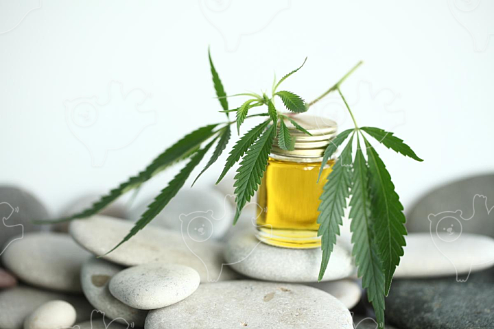 Medical marijuana cannabis cbd oil - NAVER OGQ 마켓