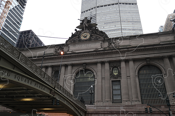 Grand Central Terminal, New York City : 화이젠 - 네이버 OGQ마켓