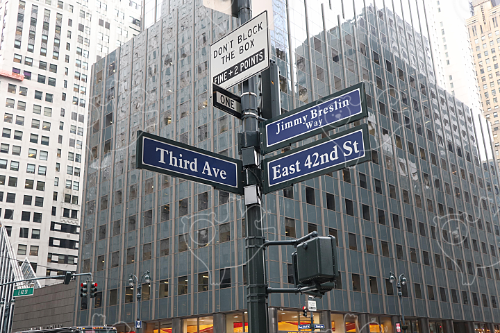 New York Street Sign : 화이젠 - 네이버 OGQ마켓