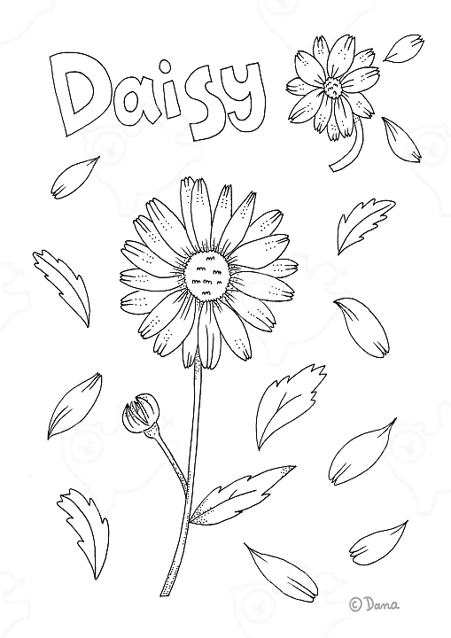꽃 (데이지, Daisy) : Danastable - 네이버 OGQ마켓