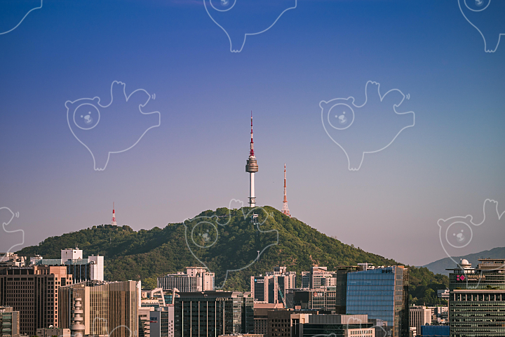 남산타워 : 하늘향기 - 네이버 OGQ마켓