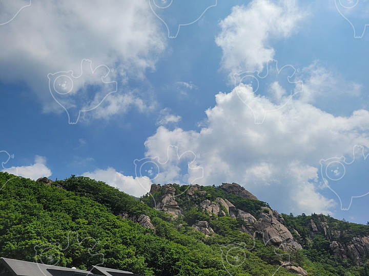 설악산 : 겨울풍경 - 네이버 OGQ마켓