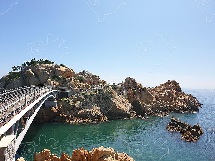울산 대왕암 : 봄봄거북 - 네이버 OGQ마켓