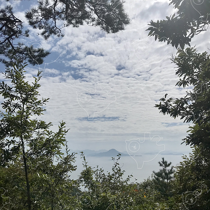 나무액자 속 바다 그리고 저 멀리 산 : Jmyd - 네이버 OGQ마켓