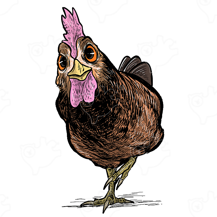 닭 - chicken : dosiado372 - 네이버 OGQ마켓