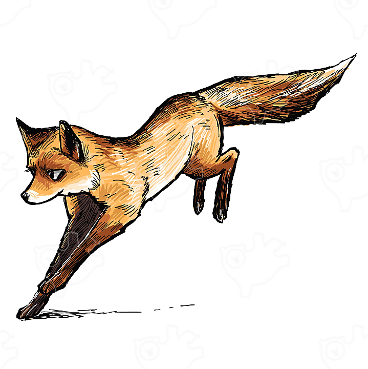 뛰는 여우 - fox : dosiado372 - 네이버 OGQ마켓