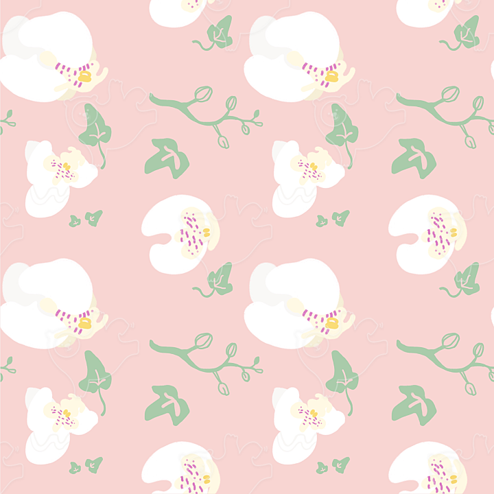 하얀 난과 분홍 바탕 (White Orchids and pink) : 위사카 - 네이버 OGQ마켓