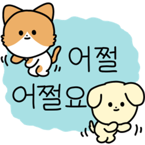 오늘하루 멍냥멍냥 : 포세트 - 네이버 OGQ마켓
