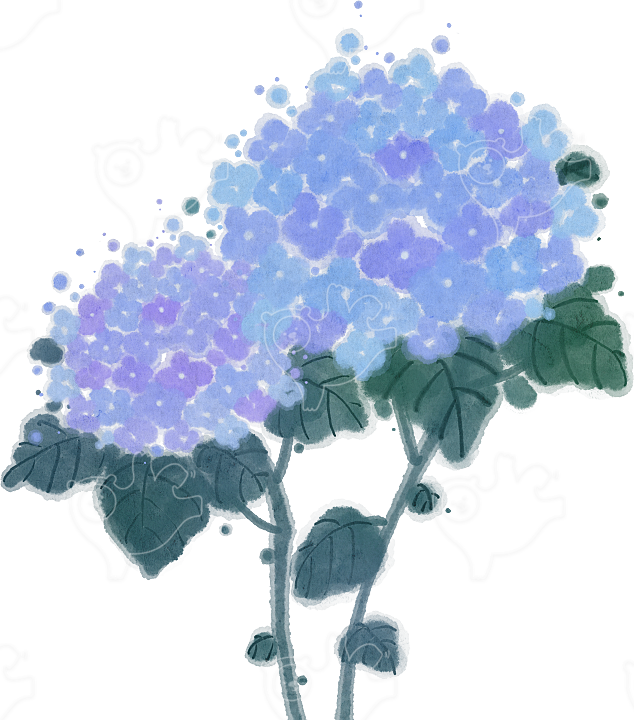 수국 : 나날디자인 - 네이버 OGQ마켓