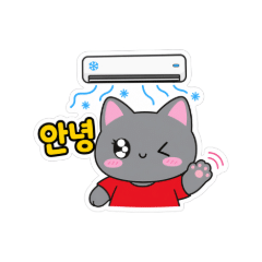 쿨냥! 냥냥이의 여름 이야기