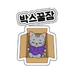 보라후드 회색냥의 일상