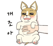 키즈필키즈카페 이미지