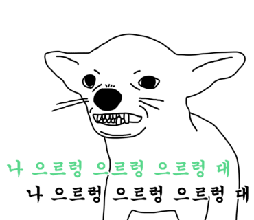 신아림 이미지